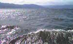 諏訪湖の波.jpg