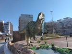 IMG_20250310_092741.jpg