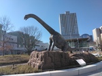 IMG_20250310_092914.jpg