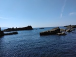 IMG_20250310_122106.jpg