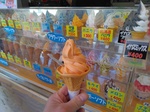 IMG_20250310_125251.jpg