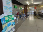 IMG_20250310_140221.jpg