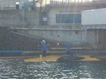 IMG_20250310_163529.jpg