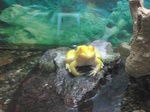 IMG_20250310_165336.jpg
