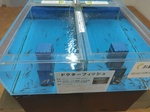 IMG_20250310_170538.jpg
