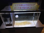 IMG_20250310_171336.jpg
