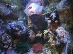 IMG_20250310_172022.jpg