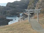 IMG_20250310_173701.jpg