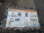 IMG_20250310_175238.jpg
