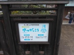 IMG_20250311_094247.jpg