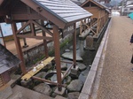 IMG_20250311_100303.jpg