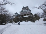 IMG_20250311_105007.jpg