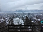 IMG_20250311_105656.jpg