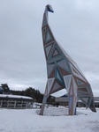 IMG_20250311_143825.jpg