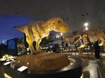 IMG_20250311_144856.jpg